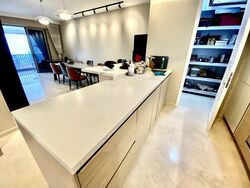 V On Shenton (D1), Apartment #605979101
